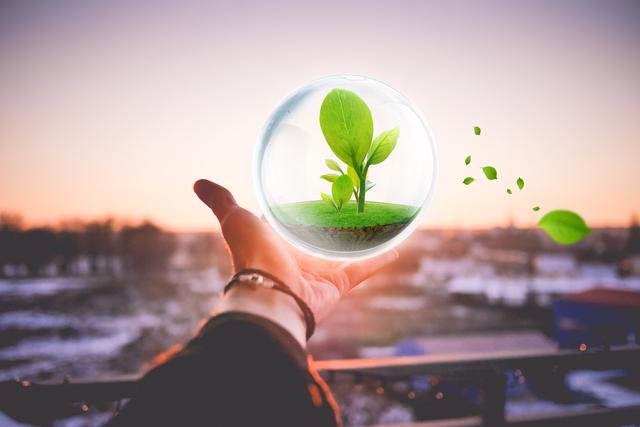 地块土壤和地下水中挥发性有机物采样技术导则