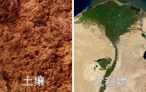 土壤和沉积物 铜、锌、铅、镍、铬的测定 火焰原子吸收分光光度法