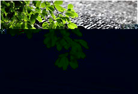 环境空气降水中阳离子（Na+、NH4+、K+、Mg2+、Ca2+）的测定离子色谱法