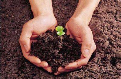 土壤和沉积物 氨基甲酸酯类农药的测定 高效液相色谱-三重四极杆质谱法