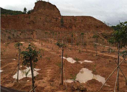 固体废物 有机氯农药的测定 气相色谱-质谱法