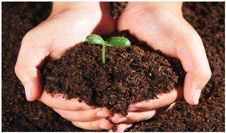 建设用地土壤污染状况调查 技术导则